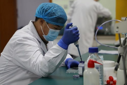 实验室中的协作与革新 卢纪元的技术转让之路